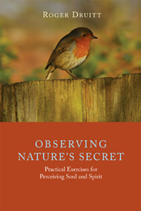 Observing Nature's Secret預訂