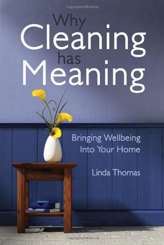 Why Cleaning Has Meaning